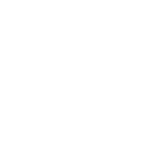 IRI logo